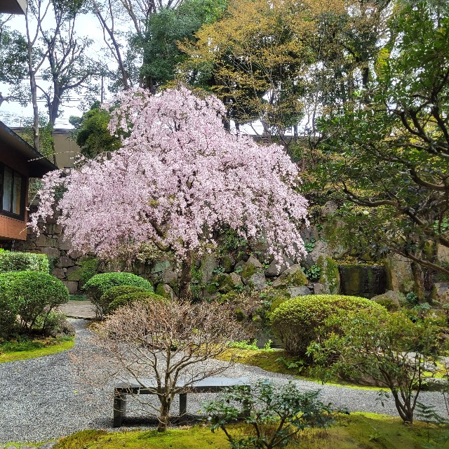 f:id:atoriatoriatori:20230416084256j:image