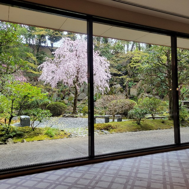 f:id:atoriatoriatori:20230416084311j:image