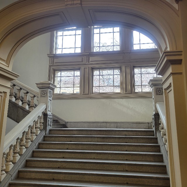 f:id:atoriatoriatori:20230421123738j:image