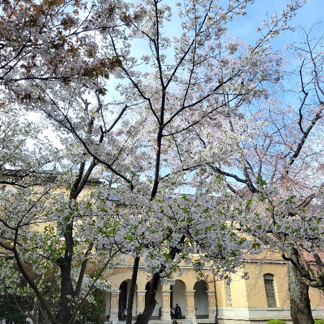 f:id:atoriatoriatori:20230421124544j:image