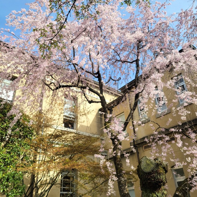 f:id:atoriatoriatori:20230421131911j:image