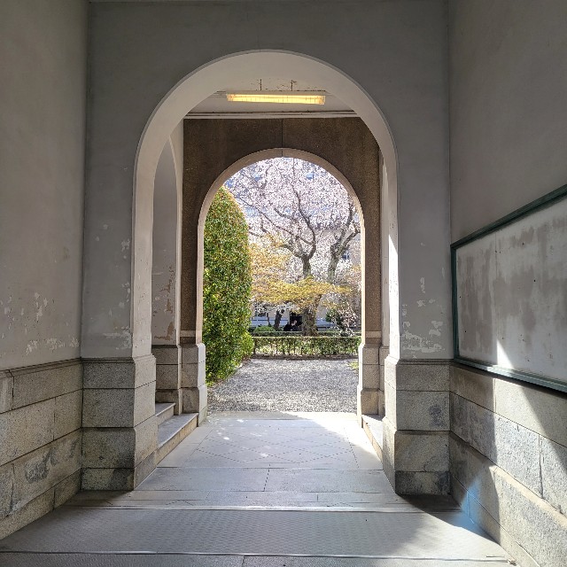 f:id:atoriatoriatori:20230421131932j:image