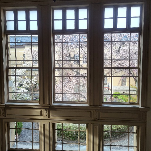 f:id:atoriatoriatori:20230421150252j:image