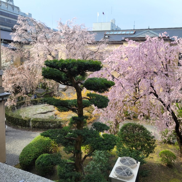 f:id:atoriatoriatori:20230421150259j:image