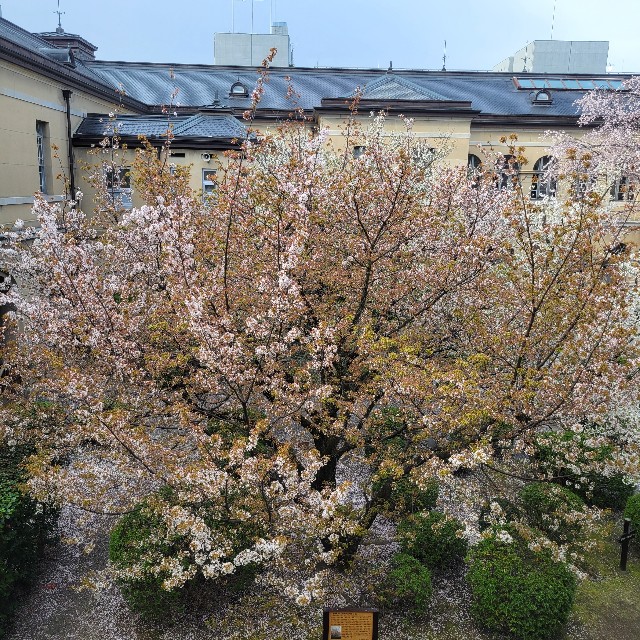 f:id:atoriatoriatori:20230421150308j:image