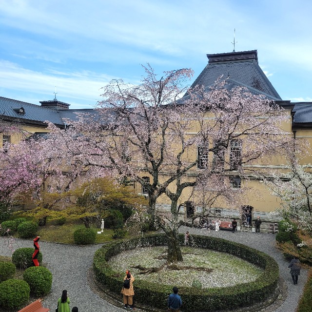 f:id:atoriatoriatori:20230421150316j:image