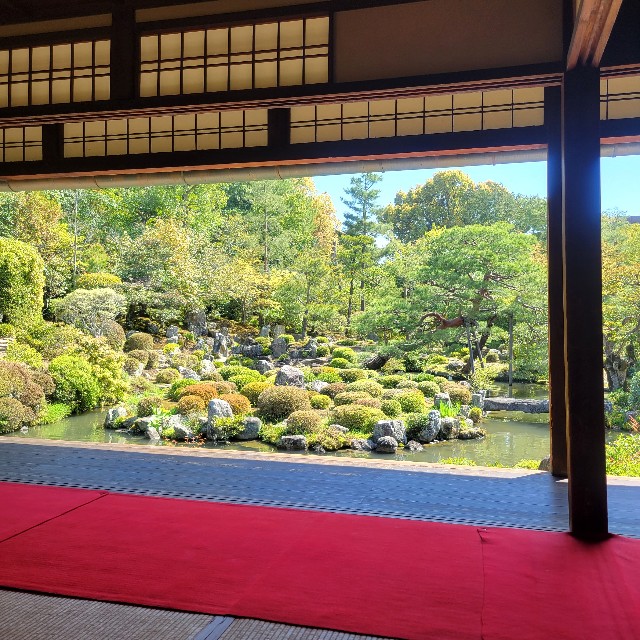 f:id:atoriatoriatori:20230504101039j:image