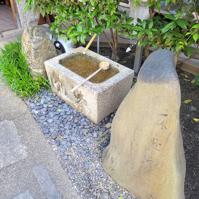 f:id:atoriatoriatori:20230512083451j:image f:id:atoriatoriatori:20230512083451j:image