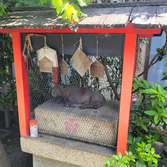 f:id:atoriatoriatori:20230512083501j:image f:id:atoriatoriatori:20230512083501j:image