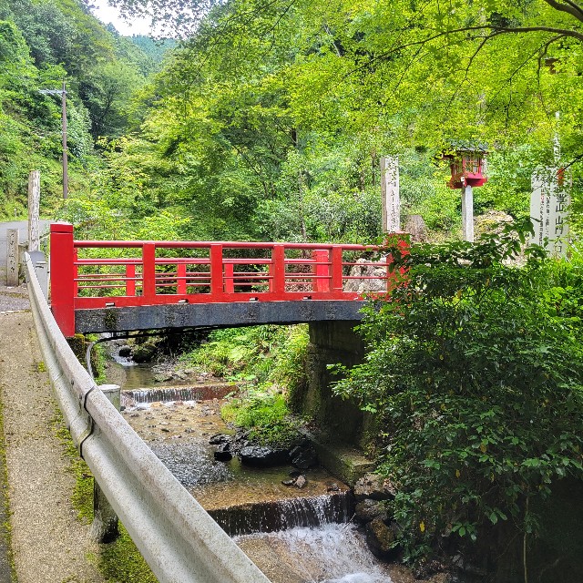 f:id:atoriatoriatori:20230617150630j:image