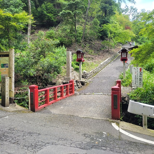 f:id:atoriatoriatori:20230617150639j:image