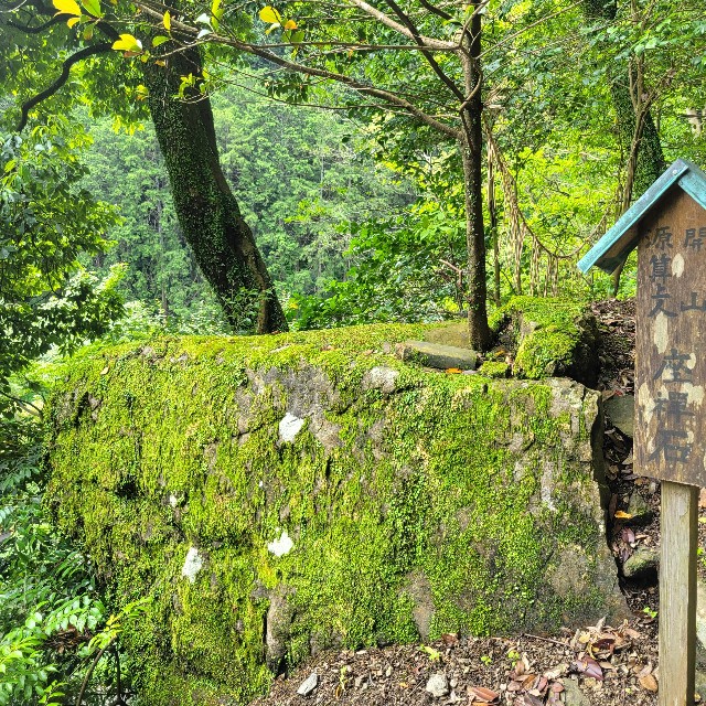 f:id:atoriatoriatori:20230617151212j:image