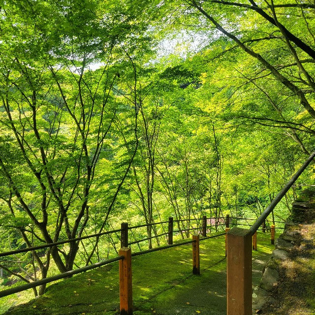 f:id:atoriatoriatori:20230617155859j:image