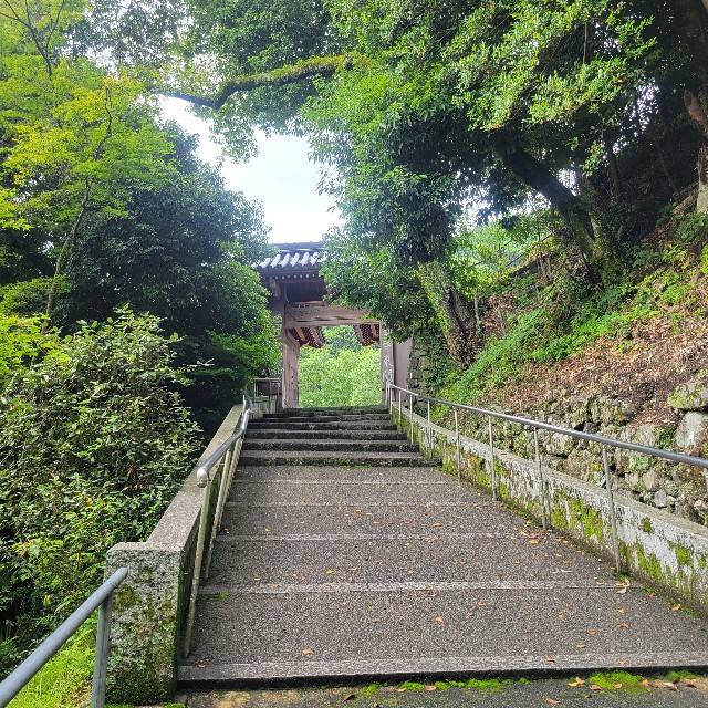 f:id:atoriatoriatori:20230617160210j:image