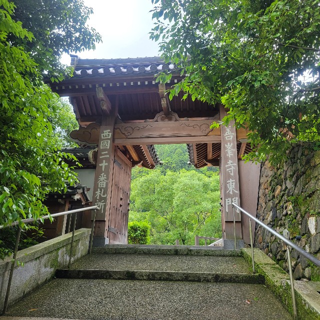 f:id:atoriatoriatori:20230617160217j:image