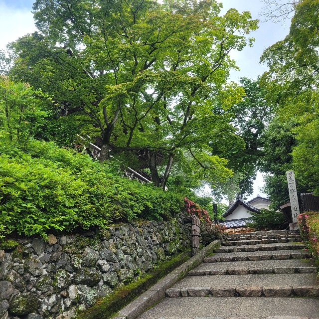 f:id:atoriatoriatori:20230617160357j:image