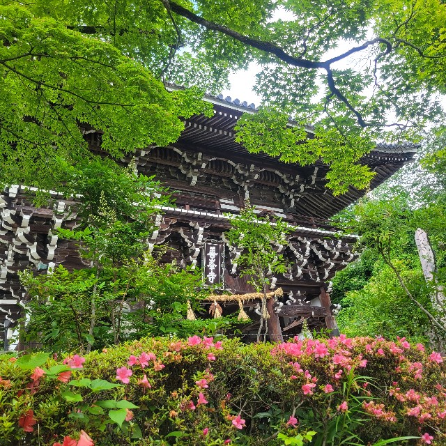 f:id:atoriatoriatori:20230617160421j:image