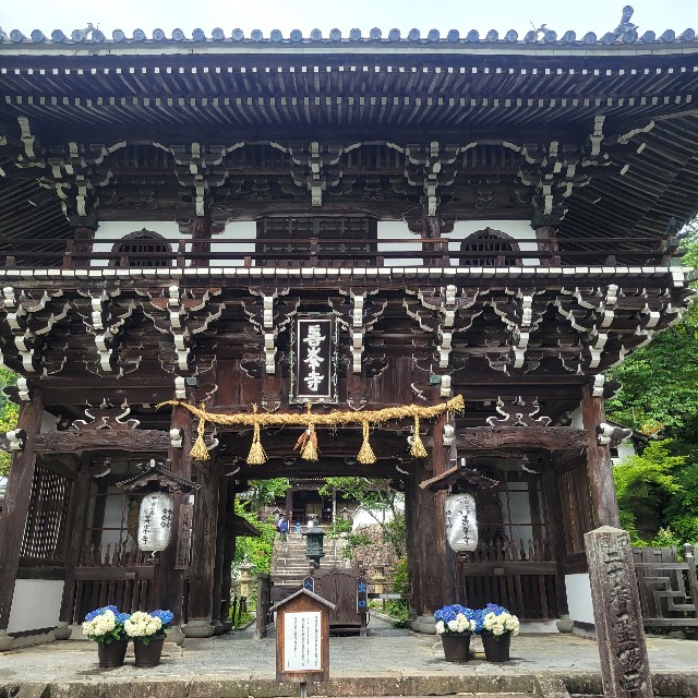 f:id:atoriatoriatori:20230617172539j:image