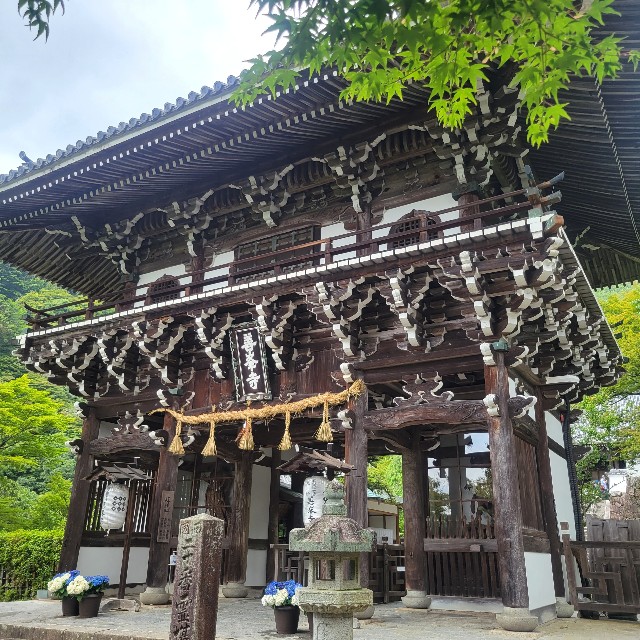 f:id:atoriatoriatori:20230617172546j:image