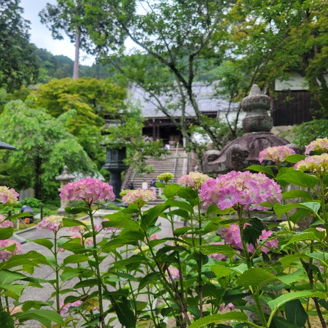 f:id:atoriatoriatori:20230617174328j:image