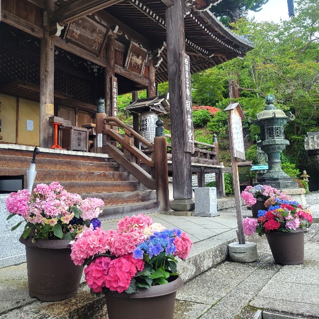 f:id:atoriatoriatori:20230617174621j:image