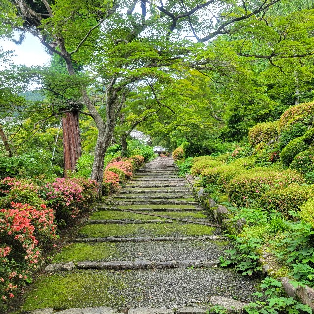 f:id:atoriatoriatori:20230617202642j:image