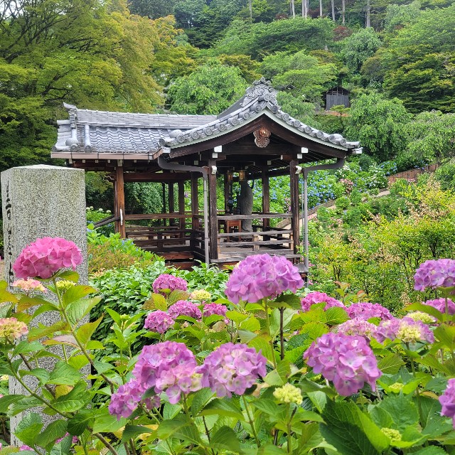 f:id:atoriatoriatori:20230617205717j:image