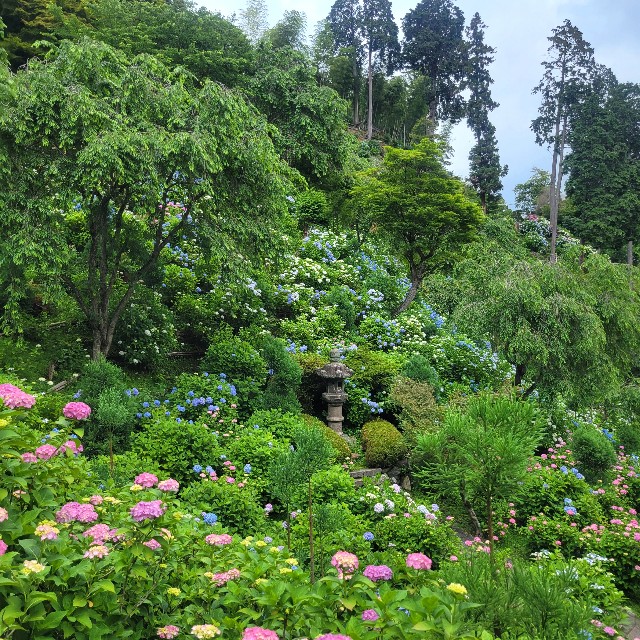 f:id:atoriatoriatori:20230617214316j:image