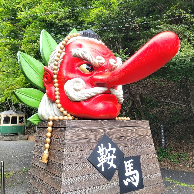 f:id:atoriatoriatori:20230622223719j:image