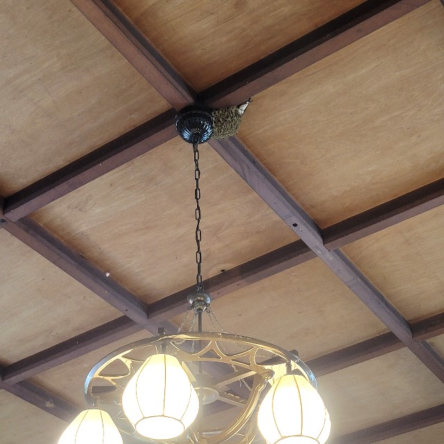 f:id:atoriatoriatori:20230622223800j:image