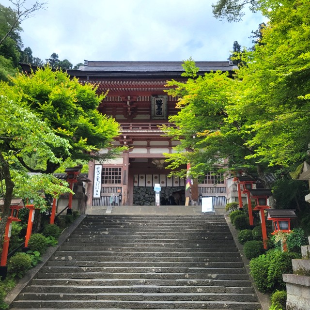 f:id:atoriatoriatori:20230623094101j:image