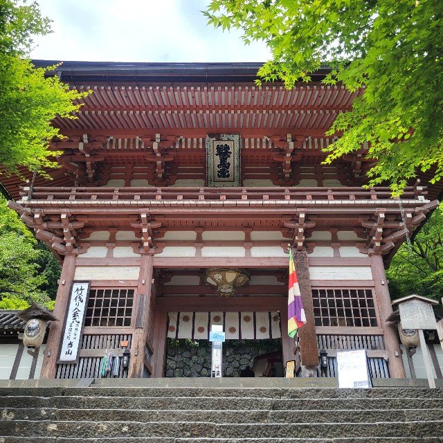 f:id:atoriatoriatori:20230623094116j:image