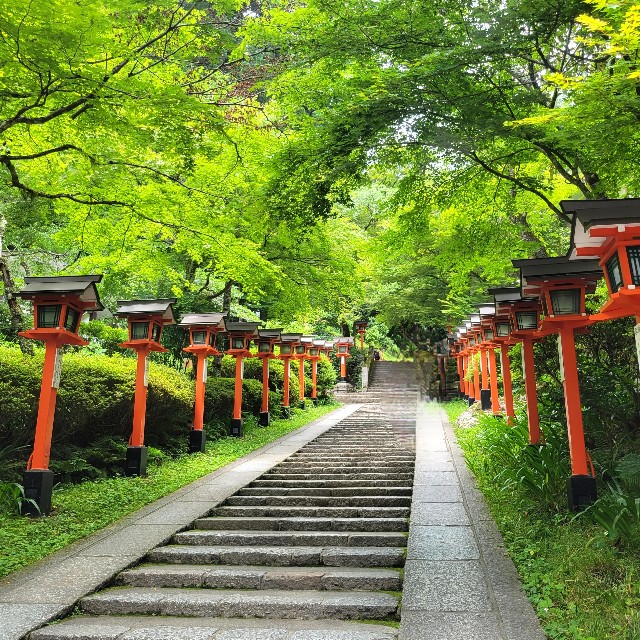 f:id:atoriatoriatori:20230623100950j:image