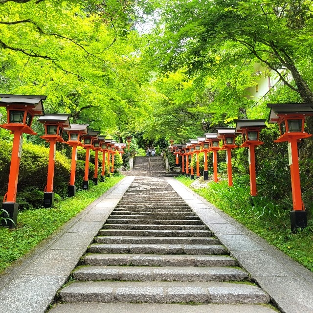 f:id:atoriatoriatori:20230623101022j:image