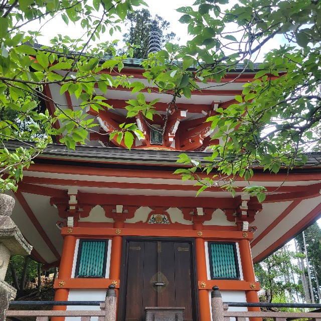 f:id:atoriatoriatori:20230623121922j:image