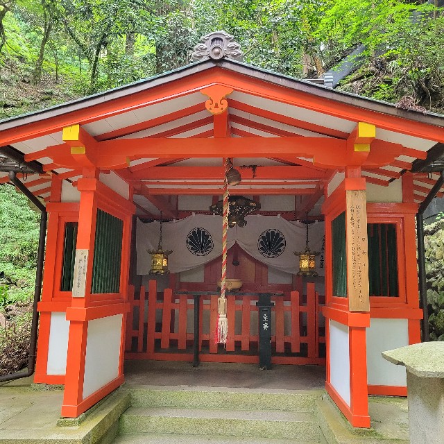 f:id:atoriatoriatori:20230623134229j:image