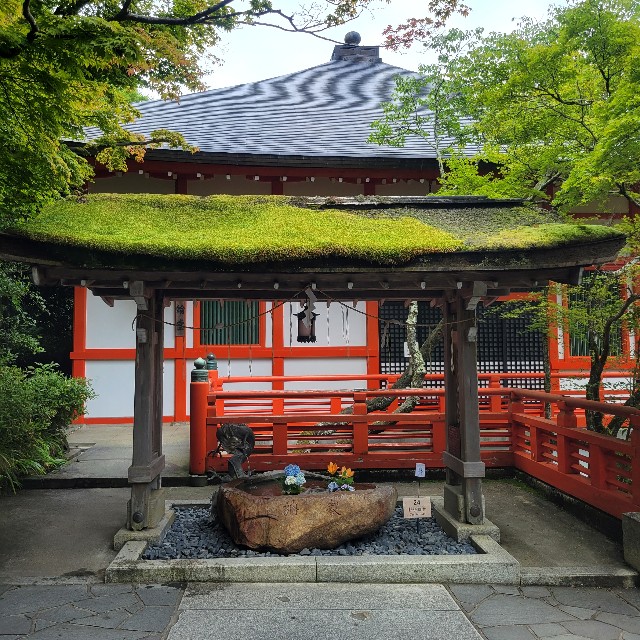 f:id:atoriatoriatori:20230623151953j:image