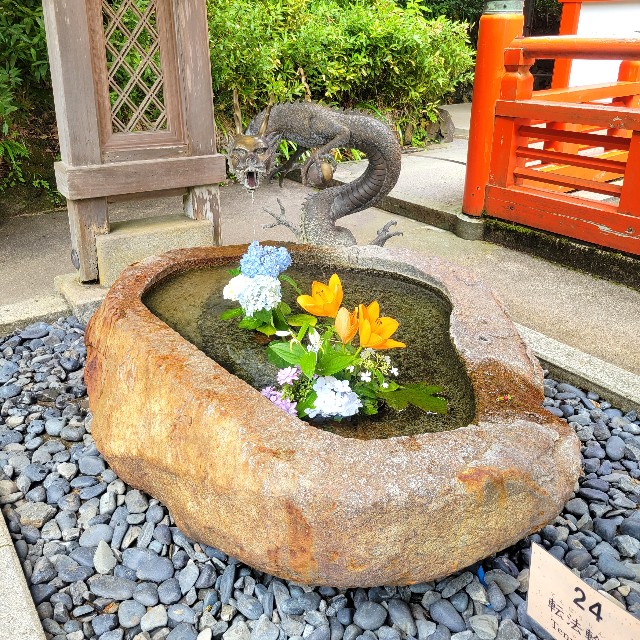 f:id:atoriatoriatori:20230623152003j:image