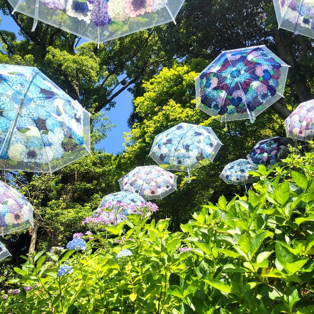 f:id:atoriatoriatori:20230624103643j:image