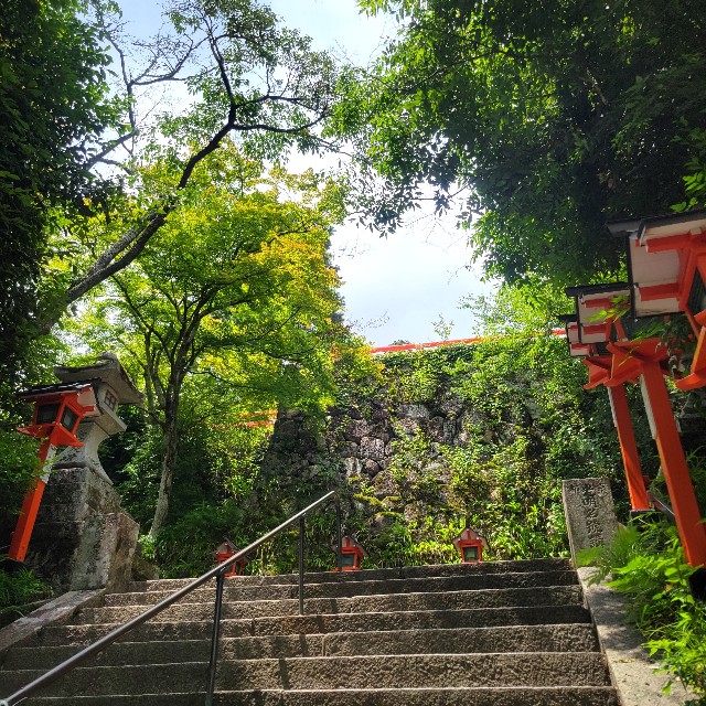 f:id:atoriatoriatori:20230626131804j:image