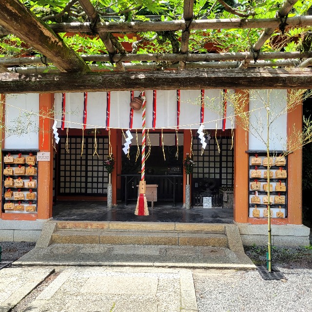 f:id:atoriatoriatori:20230626132832j:image