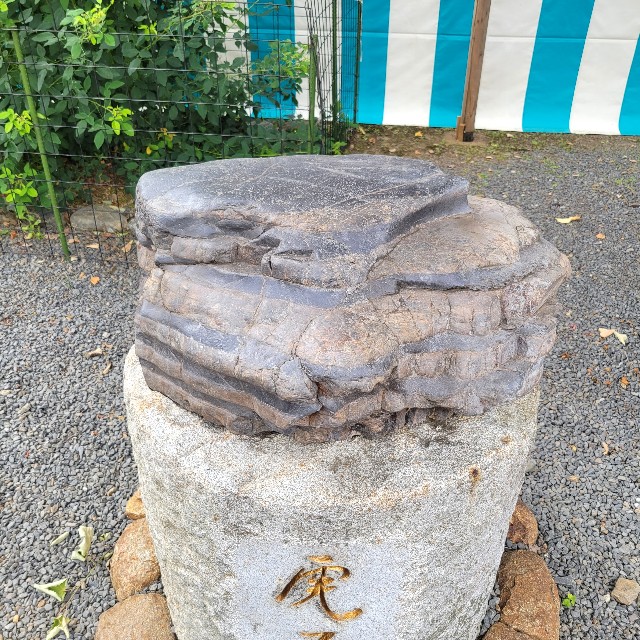 f:id:atoriatoriatori:20230626133316j:image