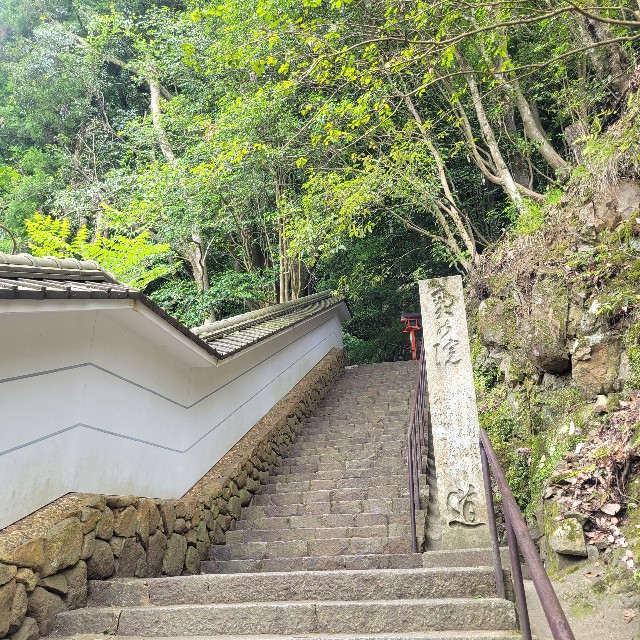 f:id:atoriatoriatori:20230626133656j:image