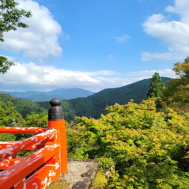 f:id:atoriatoriatori:20230626152456j:image