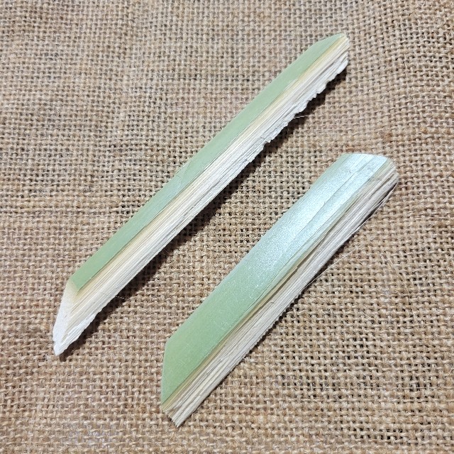 f:id:atoriatoriatori:20230626152727j:image