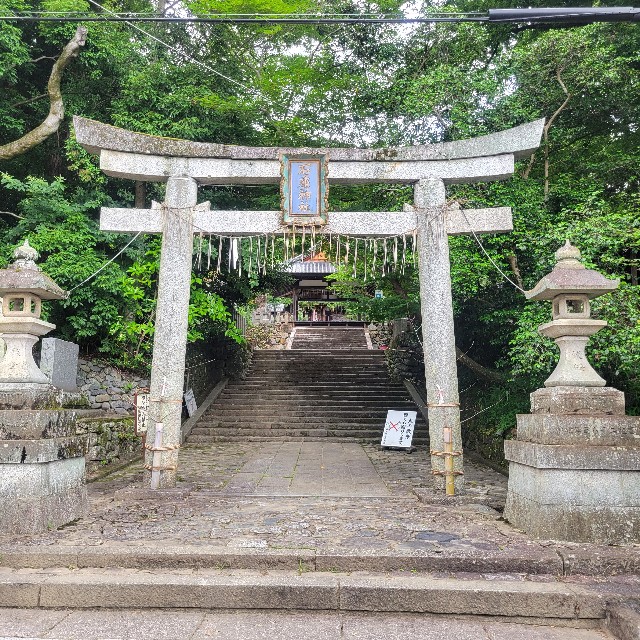 f:id:atoriatoriatori:20230630091727j:image