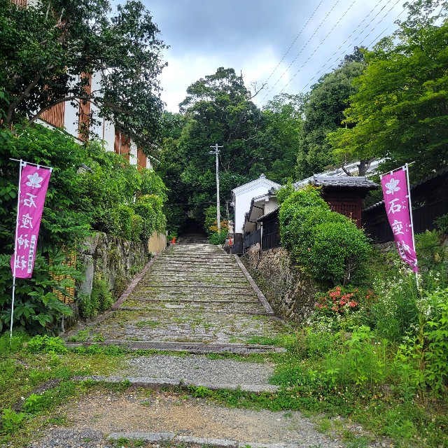 f:id:atoriatoriatori:20230630091728j:image