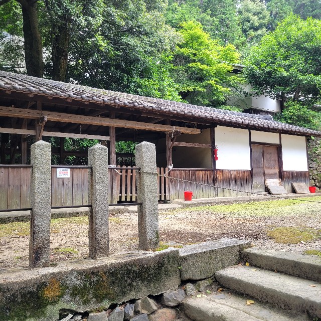 f:id:atoriatoriatori:20230630092214j:image