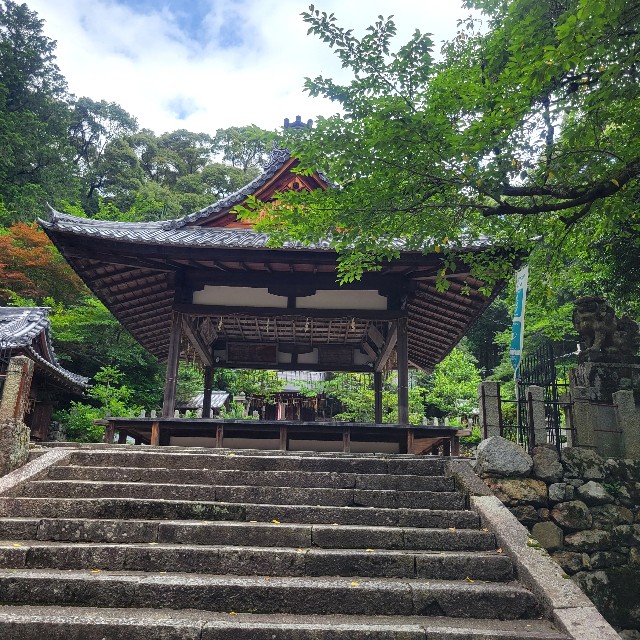 f:id:atoriatoriatori:20230630092228j:image