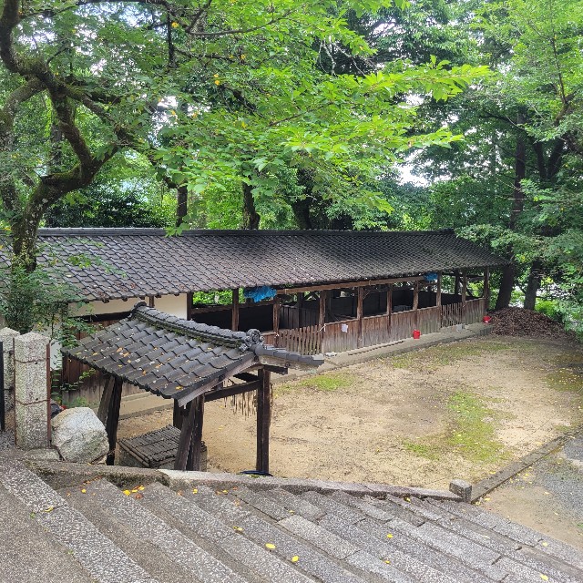 f:id:atoriatoriatori:20230630092406j:image